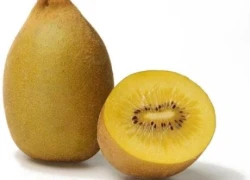 Bí mật từ trái Kiwi vàng