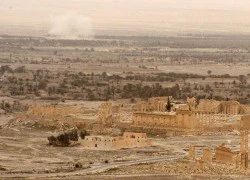 Cận cảnh thành cổ Palmyra sau khi IS tháo chạy