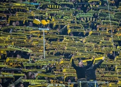 CĐV Dortmund qua đời giữa trận đấu với Mainz 05