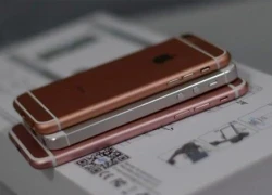 Chân dung iPhone SE trước lễ ra mắt