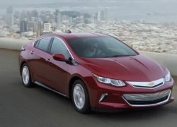 Chevy và Toyota: Ai thắng ai trong cuộc đua xe xanh?