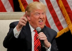 Chiến dịch 100 ngày đánh du kích Donald Trump