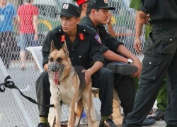 Chó nghiệp vụ - nỗi ám ảnh của &quot;hooligan&quot; Việt tại V-League