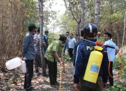 Cõng nước lên núi chữa cháy rừng phòng hộ Dầu Tiếng