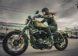 Cùng độ Sportster Iron 883 bản 2016 với Harley-Davidson