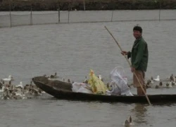 Cuộc sống mới của anh em ông Đoàn Văn Vươn: Hồi sinh trên "đất dữ"