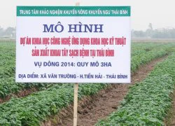 Dấu ấn ở vùng &#8220;biển bạc&#8221;