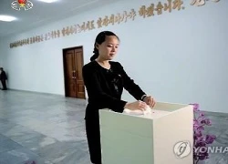 Em rể Kim Jong-un có thể là một giáo sư đại học