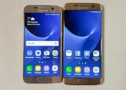 Galaxy S7 là smartphone có màn hình đẹp nhất