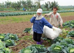 Gia Lâm hướng tới "mỗi làng một sản phẩm"