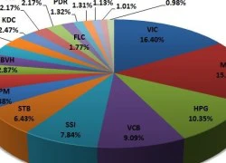 HNG, ASM, HHS, PGD và HQC được thêm mới vào rổ FTSE Vietnam Index