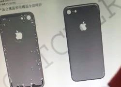 iPhone 7 có thể dùng vỏ gốm