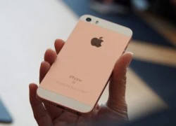 iPhone SE khó gây sốt ở VN, giá xách tay từ 11,5 triệu đồng