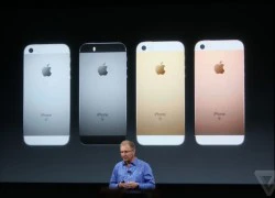 iPhone SE không có lỗi