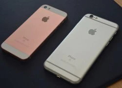 iPhone SE không được lòng fan Việt