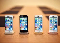 iPhone SE nhắm đến đối tượng người dùng nào?