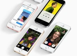 iPhone SE - nước cờ may rủi của Apple