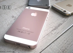 iPhone SE sẽ mang 'hồn' iPhone 6s, vỏ 5s