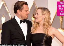 Kate Winslet thúc giục Leonardo DiCaprio lập gia đình