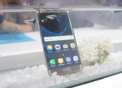 Khám phá những tính năng 'bí ẩn' trong Galaxy S7 và S7 edge