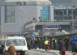 Không có người Việt thương vong trong vụ khủng bố tại Brussels