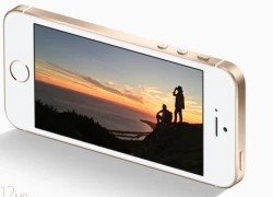 Không nên mua iPhone SE bản 16 GB