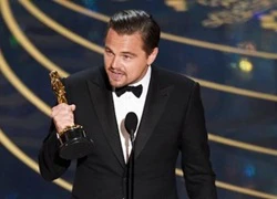 Leonardo DiCaprio làm gì sau Oscar?