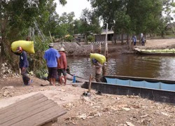 Lo ngại hạn hán, ngập mặn: Tranh nhau mua lúa gạo