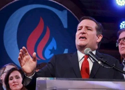 Nghị sĩ Ted Cruz: Tôi là ứng viên duy nhất đánh bại được Trump