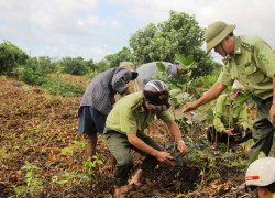 Nghịch lý có tiền nhưng không có đất trồng rừng