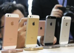 Người Việt không thích iPhone SE