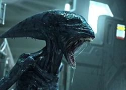 Quái vật Alien và Predator cùng hẹn ngày trở lại