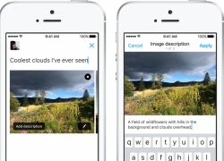 Twitter thêm tính năng chú thích ảnh hỗ trợ người khiếm thị