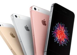 Việt Nam không nằm trong đợt mở bán tháng 4 của iPhone SE