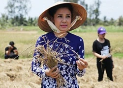 Việt Trinh chia sẻ khó khăn với bà con gặp hạn hán ở miền Tây