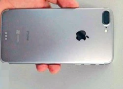 Xuất hiện ảnh iPhone 7 Plus với camera kép