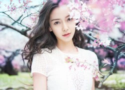 Angelababy hóa tiên hoa trong loạt ảnh mới