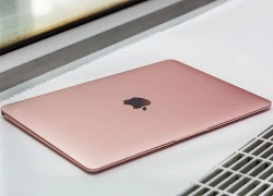 Ảnh MacBook 12 inch màu vàng hồng như iPhone 6s