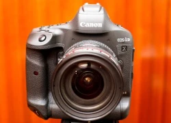 Ảnh thực tế Canon 1D X Mark II tại Việt Nam