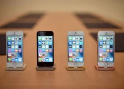 Apple cần một sản phẩm mới thay thế iPhone?