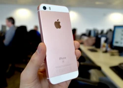 Apple đã biến Rose Gold thành màu nam tính