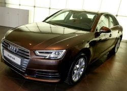 Audi sắp tổ chức sự kiện riêng tại Hà Nội