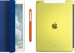 Bán đấu giá chiếc iPad Pro độc nhất vô nhị