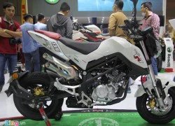 Benelli ra xe côn tay 135 phân khối, cạnh tranh Honda MSX