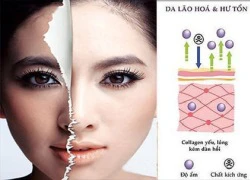 Bổ sung Collagen thế nào mới là đúng, đủ và hấp thụ được trọn vẹn nhất