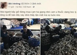 Cam gì quấn nilon ngập chợ Hà Nội?