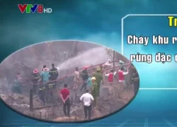 Cháy rừng xảy ra liên tiếp tại Đà Nẵng