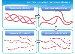 Collagen tốt cho làn da