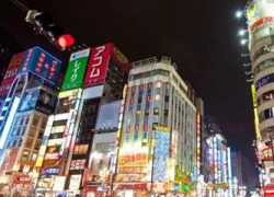 Cuộc sống xa hoa về đêm tại tụ điểm ăn chơi Tokyo