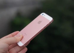 Đánh giá iPhone SE: Nhỏ nhưng có võ